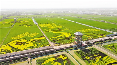     稻漁空間生態休閑觀光園。